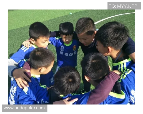 斯洛文尼亚足球球星成长历程与欧洲绿茵赛场辉煌瞬间