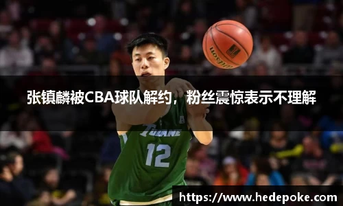 张镇麟被CBA球队解约，粉丝震惊表示不理解