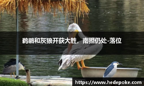 鹈鹕和灰狼开获大胜，南担仍处-落位